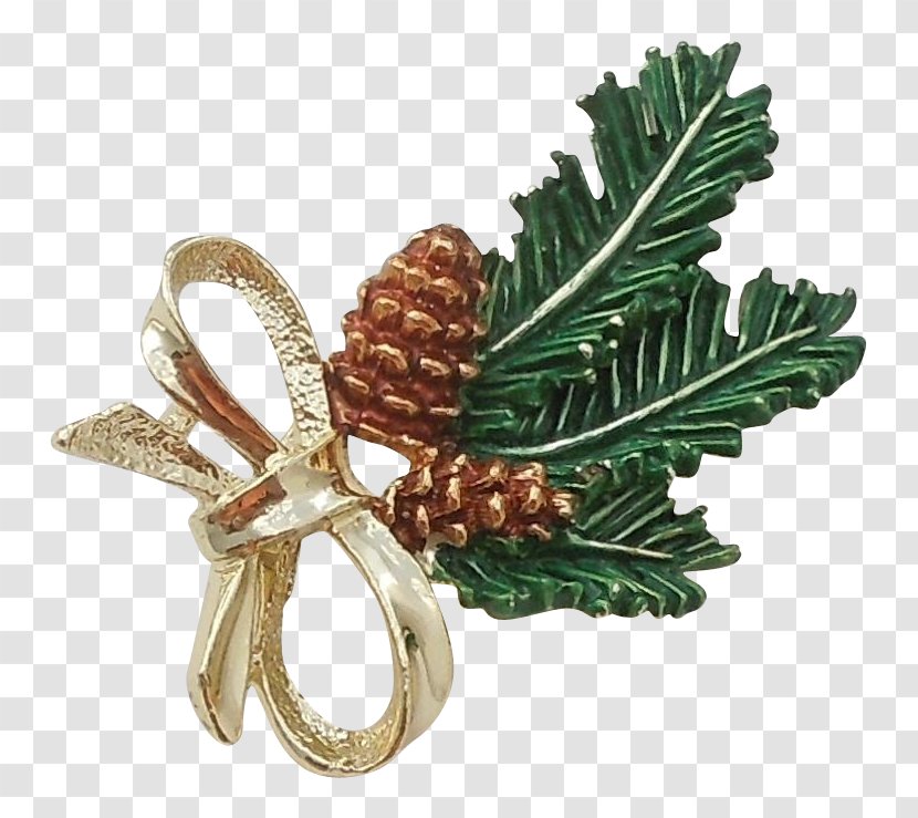 Tree Conifers Christmas Ornament Pine - Pinaceae - Cone Transparent PNG