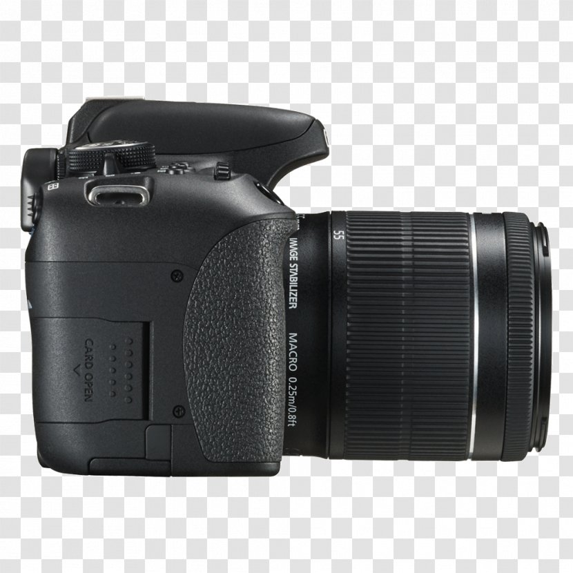 Canon EOS 750D EF-S Lens Mount EF 18–135mm 18–55mm - Reflex Camera Transparent PNG