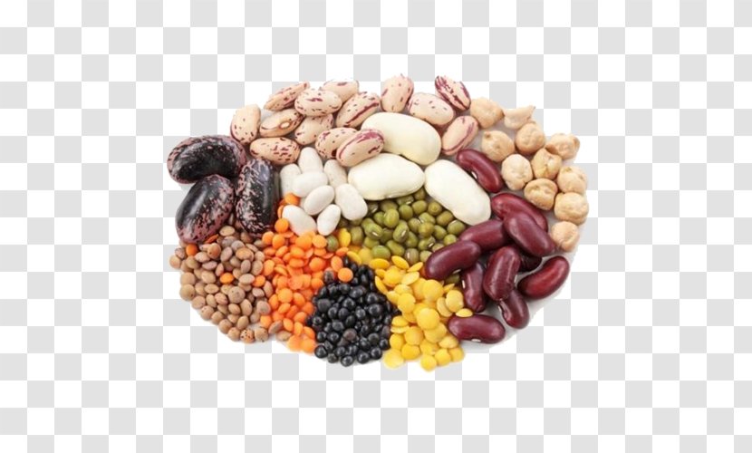 Legume Bean Protein Health Food - Diet Transparent PNG