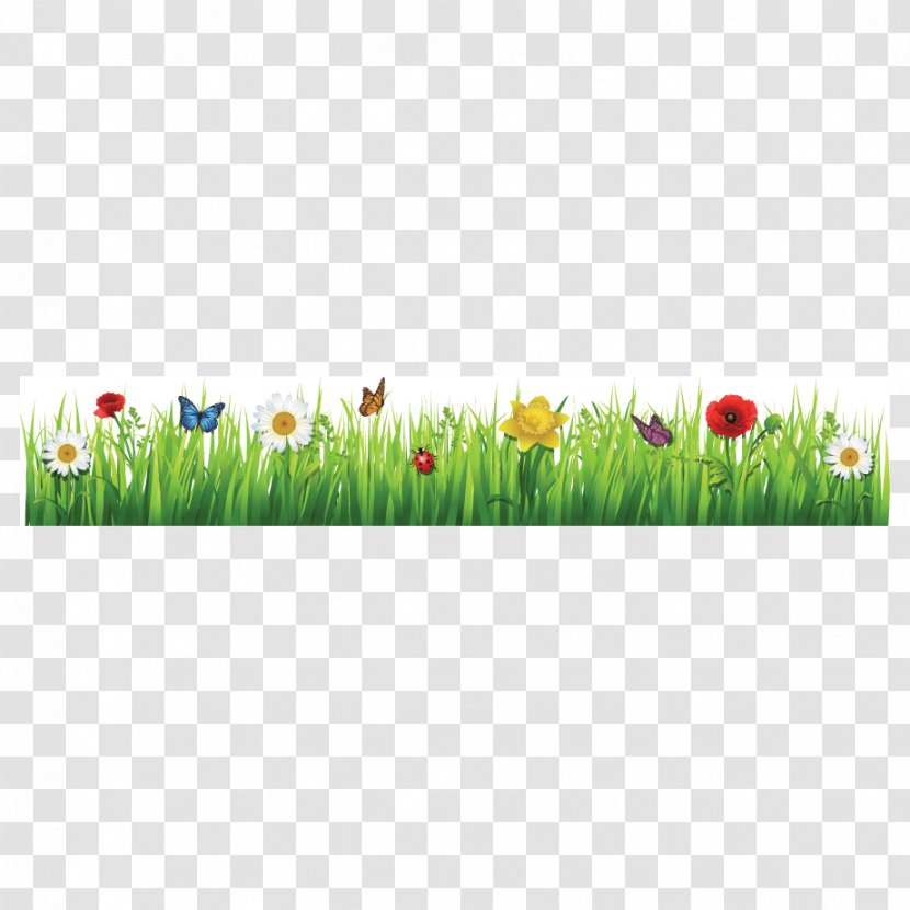 Tulip Flower Meadow Clip Art - Seed Plant Transparent PNG