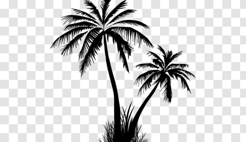 Palm Tree Silhouette - Sabal Palmetto - Desert Transparent PNG