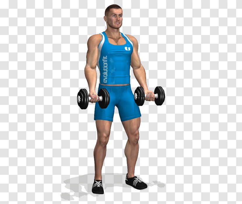 Biceps Curl Dumbbell Exercise Triceps Brachii Muscle - Cartoon Transparent PNG