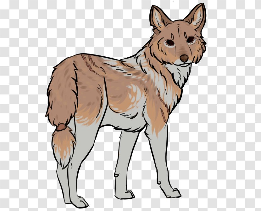 Saarloos Wolfdog Czechoslovakian Coyote Red Fox Dingo - Fauna - Mallards Mongrel Transparent PNG