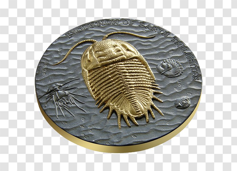Earth Trilobite Evolution Coin Silver Transparent PNG