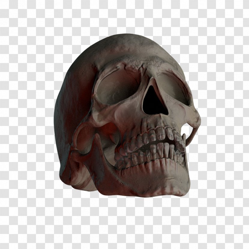 Skull And Crossbones Skeleton Calavera - Snout - Skulls Transparent PNG