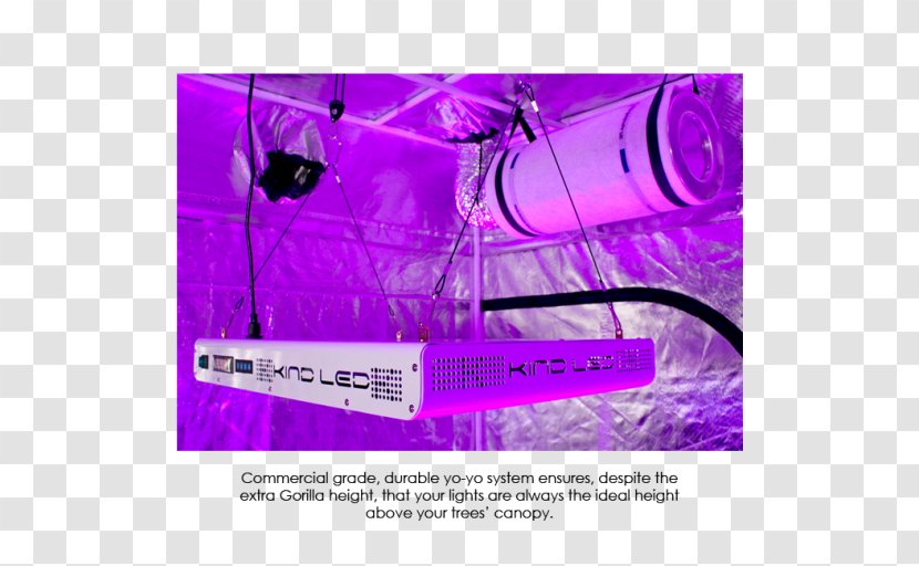 Light-emitting Diode Growroom Grow Light Lighting - House Transparent PNG