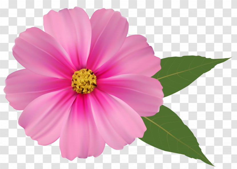 Pink Flowers Clip Art - Plant - Flower Image Clipart Transparent PNG