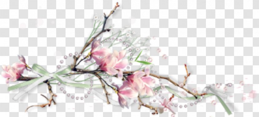 Clip Art - Drawing - Twig Transparent PNG