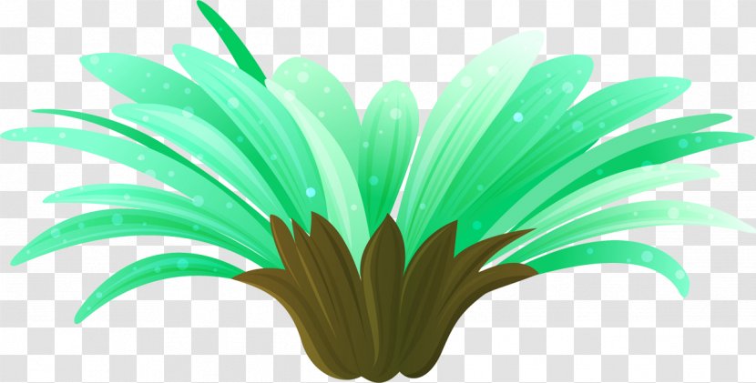 Leaf - Plant Stem Transparent PNG