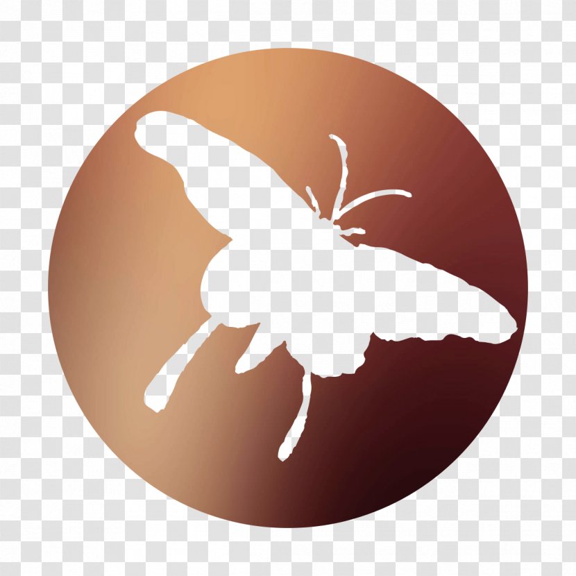 Insect Membrane - Pest - Silhouette Transparent PNG