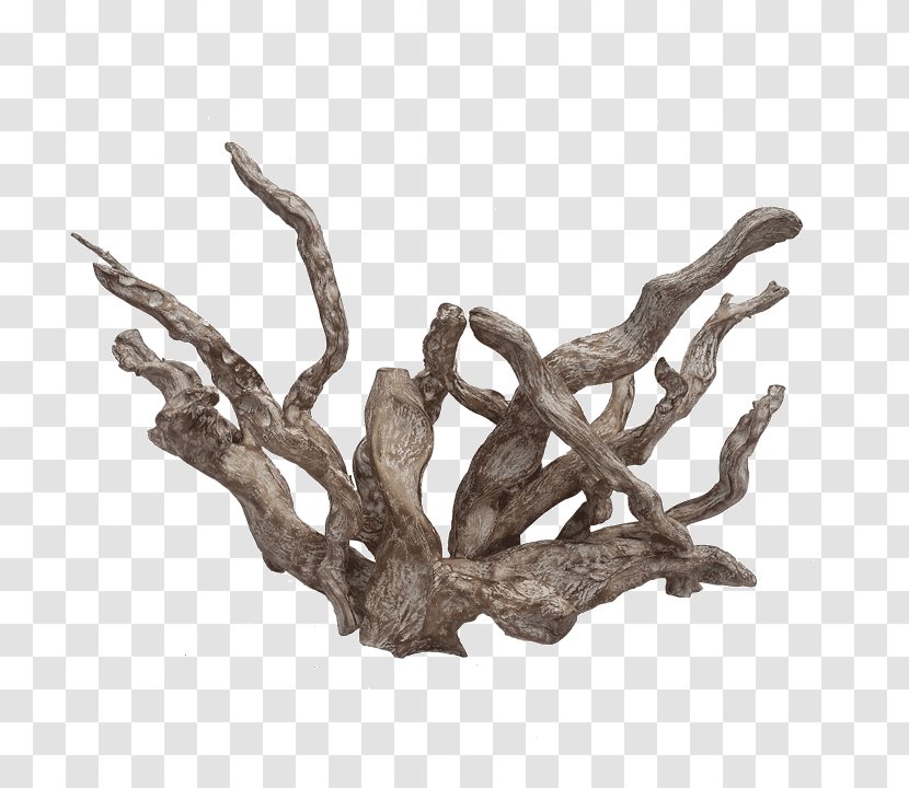 Art Driftwood White River Coral Pacific Transparent PNG