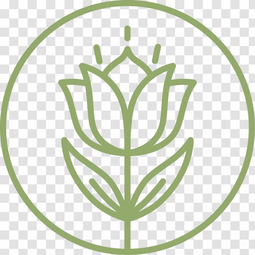 Tulip Flower Floristry Clip Art - Grass - Yoga Teaching Transparent PNG