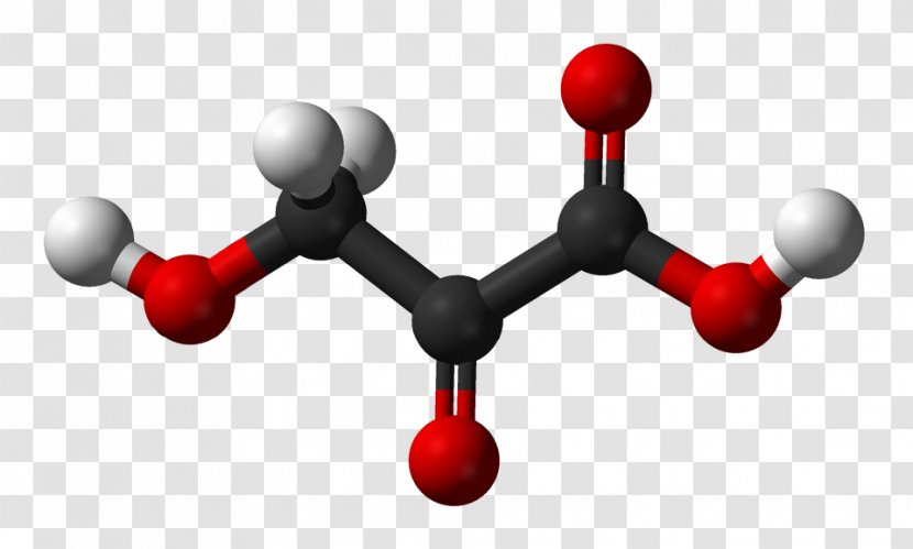 Oxalate Ion Oxalic Acid Oxaloacetic - Succinic - Chemistry Transparent PNG