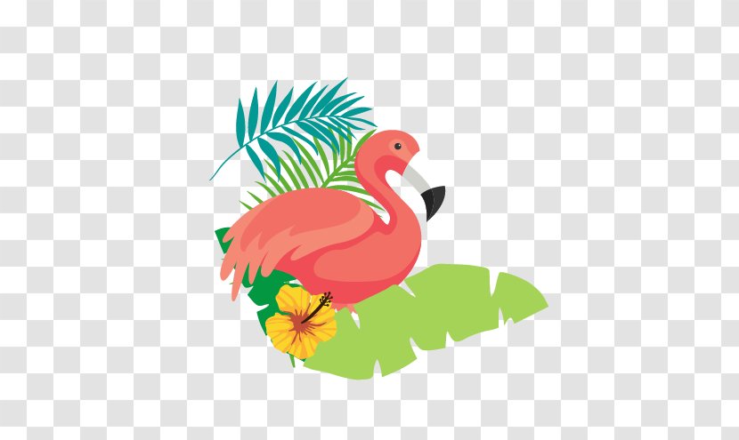 Flamingo Download - Water Bird - Flamingos Material Transparent PNG