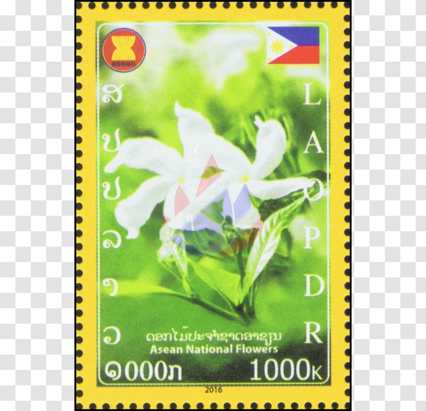 Arabian Jasmine Association Of Southeast Asian Nations Flower Vanda 'Miss Joaquim' Olives - Grass Transparent PNG