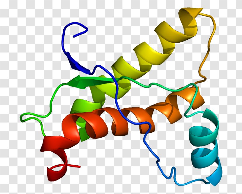 PRNP Prion Protein Folding Viroid - Beta Sheet Transparent PNG