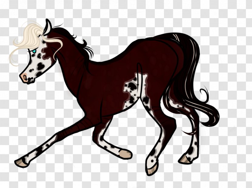 Mustang Pony Foal Halter Stallion - Mare Transparent PNG