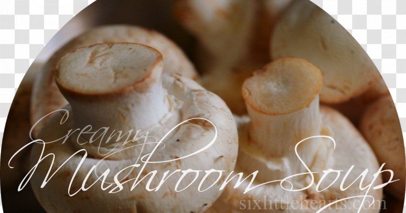 Fashion Blog Jewellery Tee & Me Food - Cream Of Mushroom Soup Transparent PNG