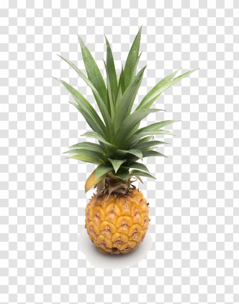 Pineapple Auglis Fruit Google Images - Bromeliaceae - Free Matting Products In Kind Transparent PNG