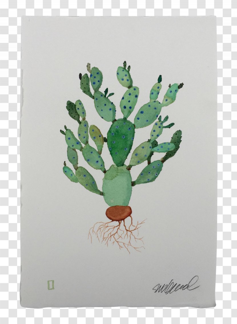 Citroën Cactus M Tree - Plant Transparent PNG