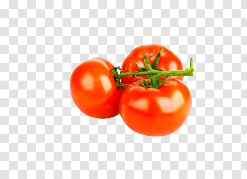 Vegetable Tomato Royalty-free Download - Stockxchng - Red Tomatoes Free Pull Material Transparent PNG