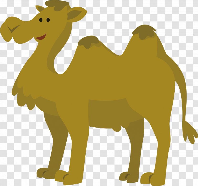 Camel Animation - Carnivoran - Cartoon Vector Transparent PNG