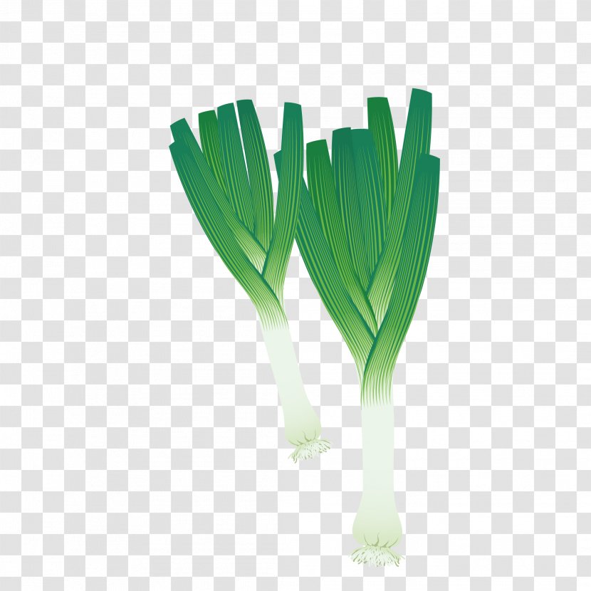 Leek Vegetable Scallion Clip Art - Fresh Onions Transparent PNG