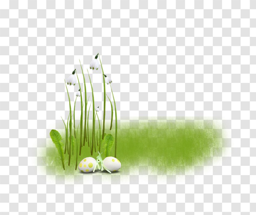 Cut Flowers Plant Stem Desktop Wallpaper - Medicine - 绿叶 Transparent PNG