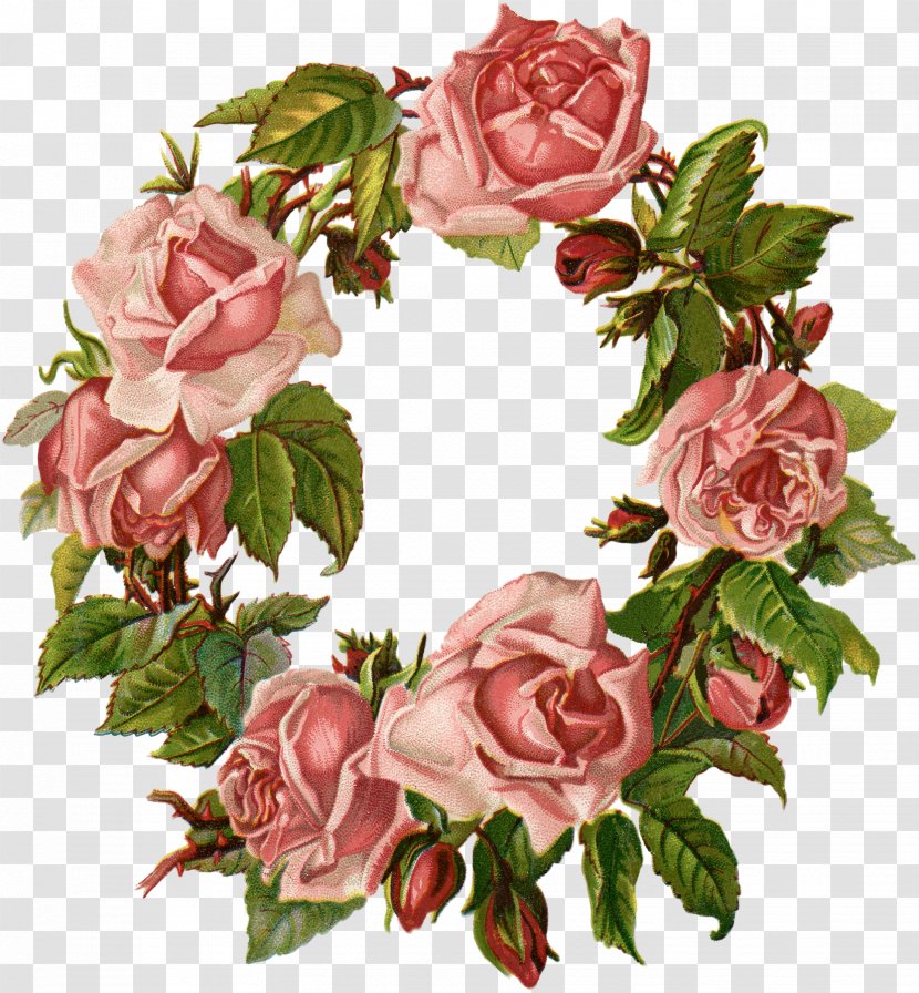 Cut Flowers Wreath Garden Roses Floral Design - Petal - Blue Transparent PNG