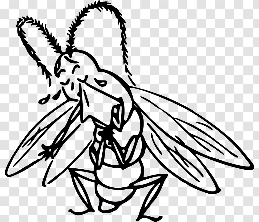 Insect Drawing Clip Art - Black And White - Cry Transparent PNG