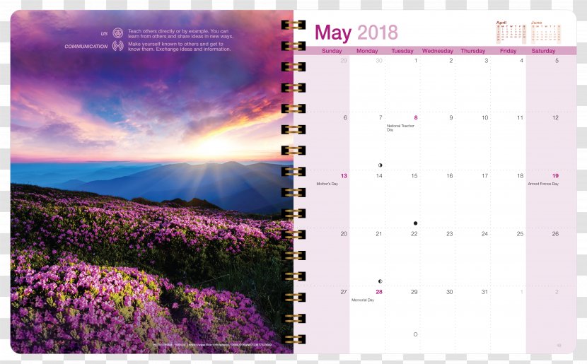 Desktop Wallpaper Flower Sunset Sky - Mobile Phones - Day Planner Transparent PNG