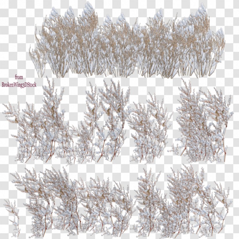 Tree Snow Clip Art - Grass Family - Watercolor Branch Transparent PNG