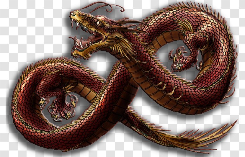 Chinese Dragon Serpent China Lord - Reptile Transparent PNG
