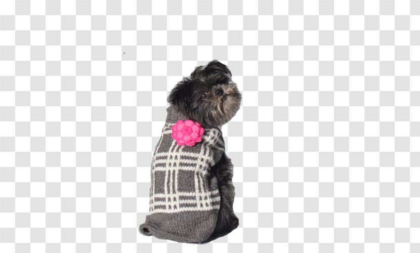 Schnoodle Affenpinscher Puppy Dog Breed Clothing - 100 Percent Fresh Transparent PNG