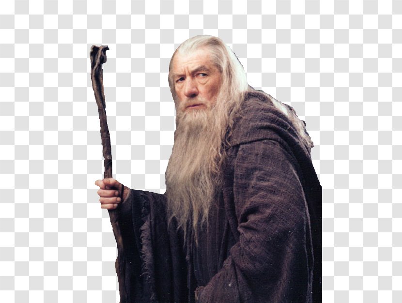Gandalf The Lord Of Rings: Fellowship Ring Legolas - Moustache - Transparent Transparent PNG