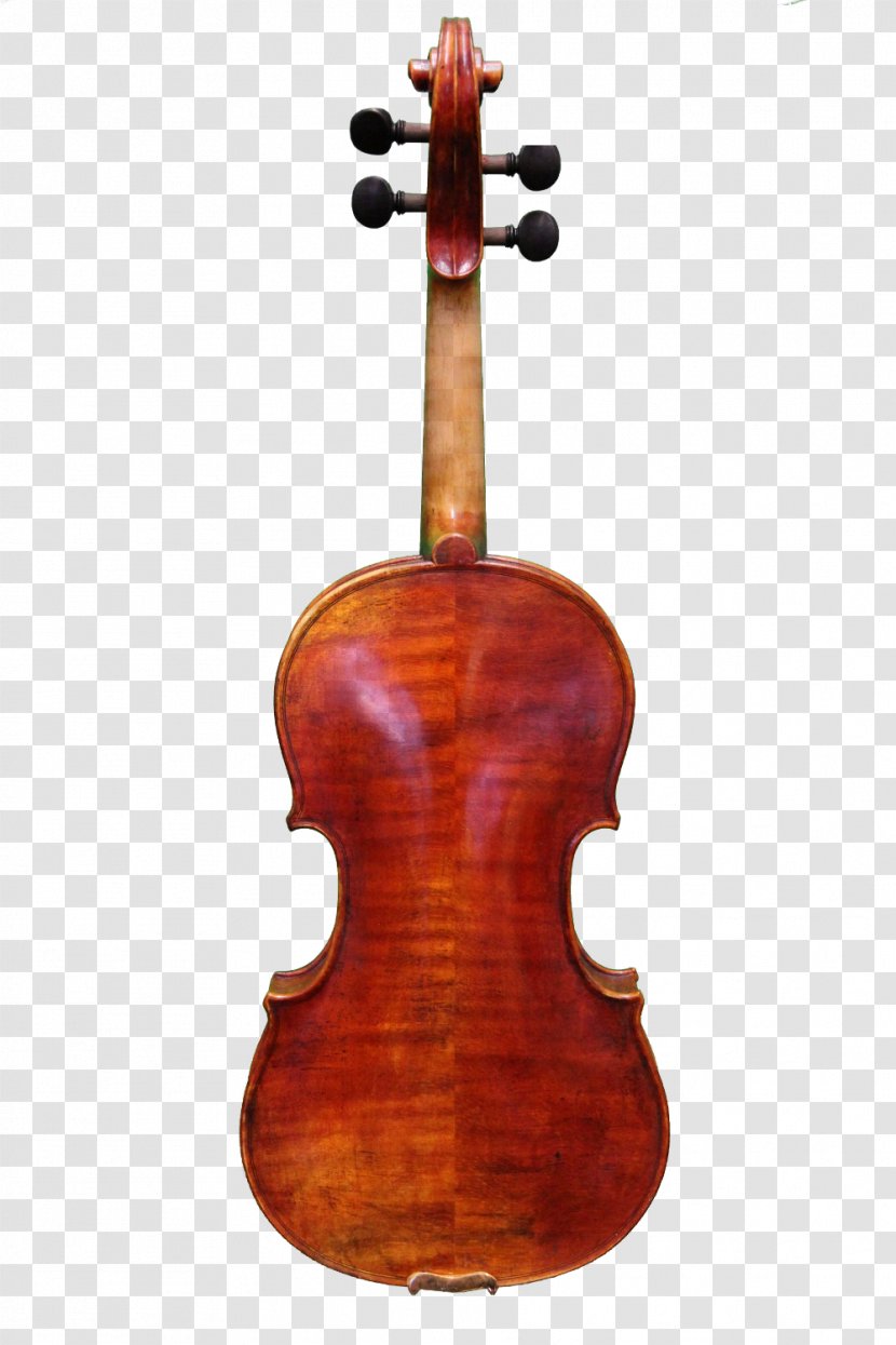 Bass Violin Violone Viola Cello - Tree Transparent PNG