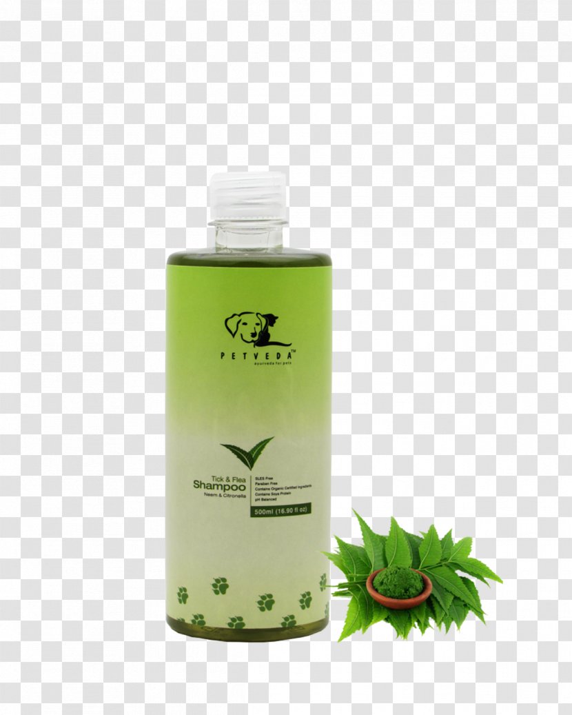 Lotion Shampoo Sodium Laureth Sulfate Oil Neem Tree - Hair Conditioner - Flea Transparent PNG