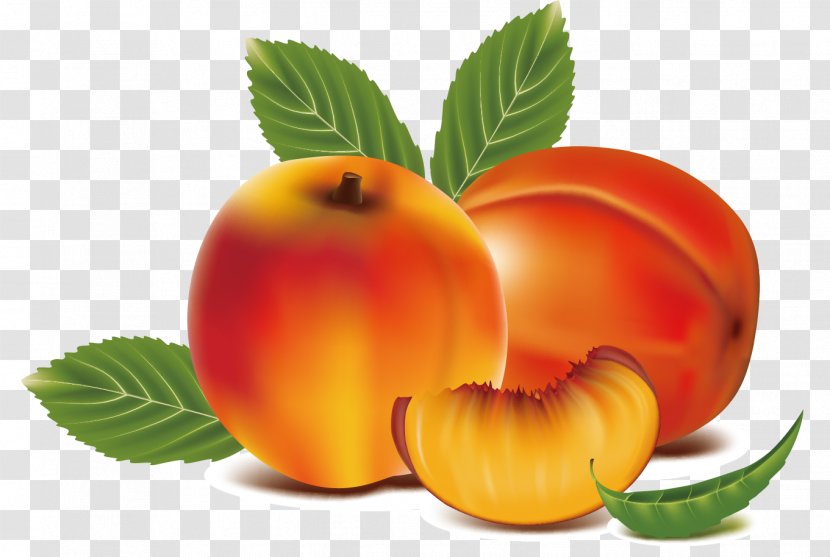 Peach Fruit Clip Art - Vegetarian Food Transparent PNG
