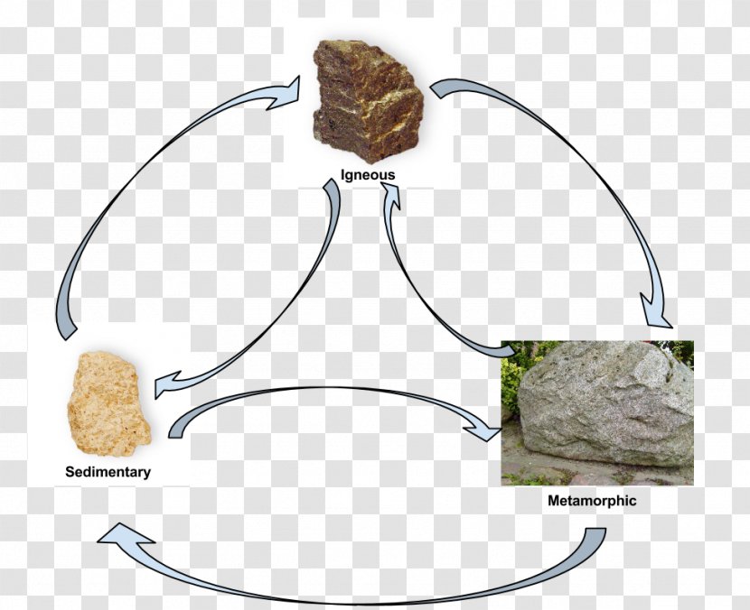 Basalt Animal Igneous Rock - Organism - Scaly Pattern Transparent PNG