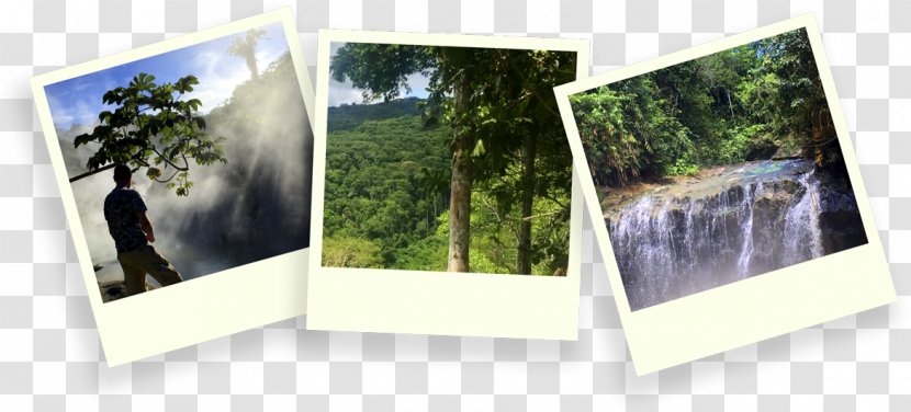 Photographic Paper Picture Frames Photography - Frame Jungle Transparent PNG