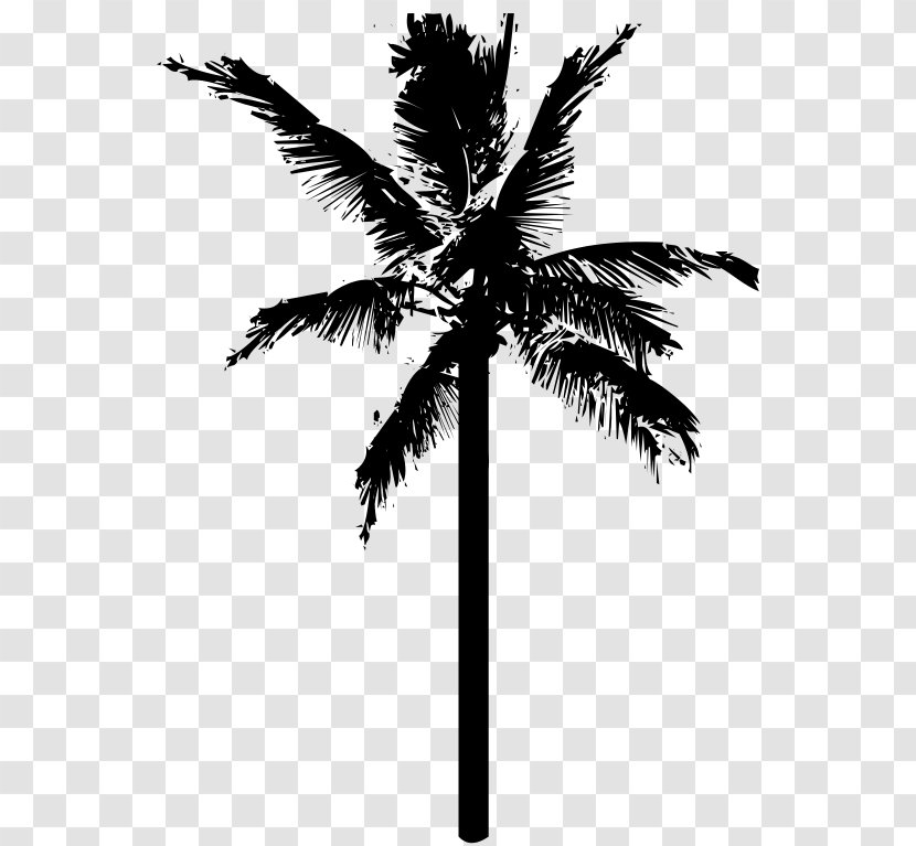 Coconut Tree Clip Art - Plant Transparent PNG