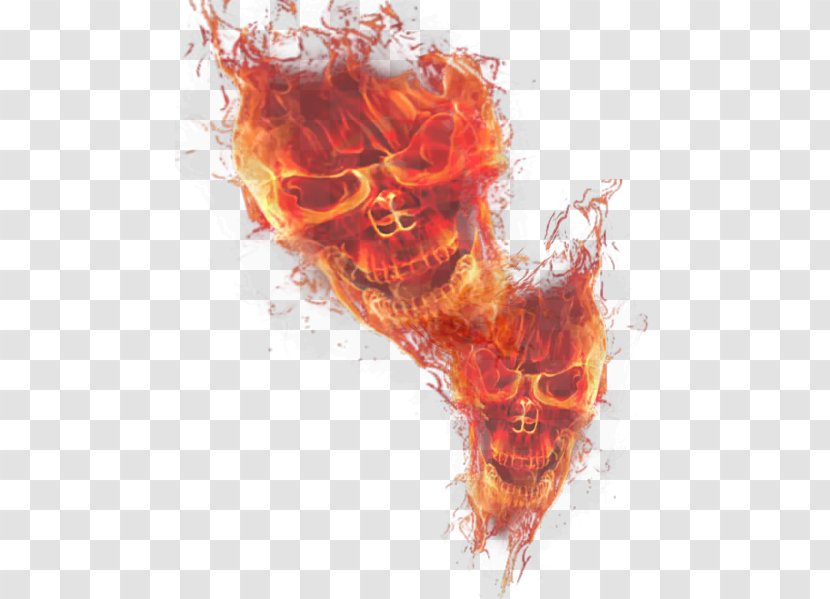 Light Skull Flame - Heart Transparent PNG