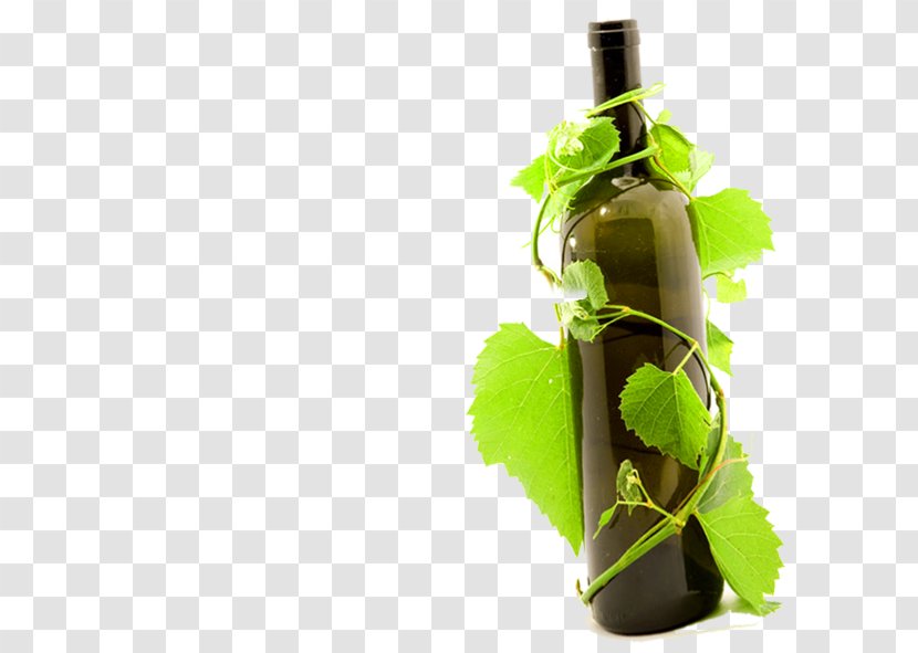Red Wine Common Grape Vine Bottle Glass - Drinkware Transparent PNG