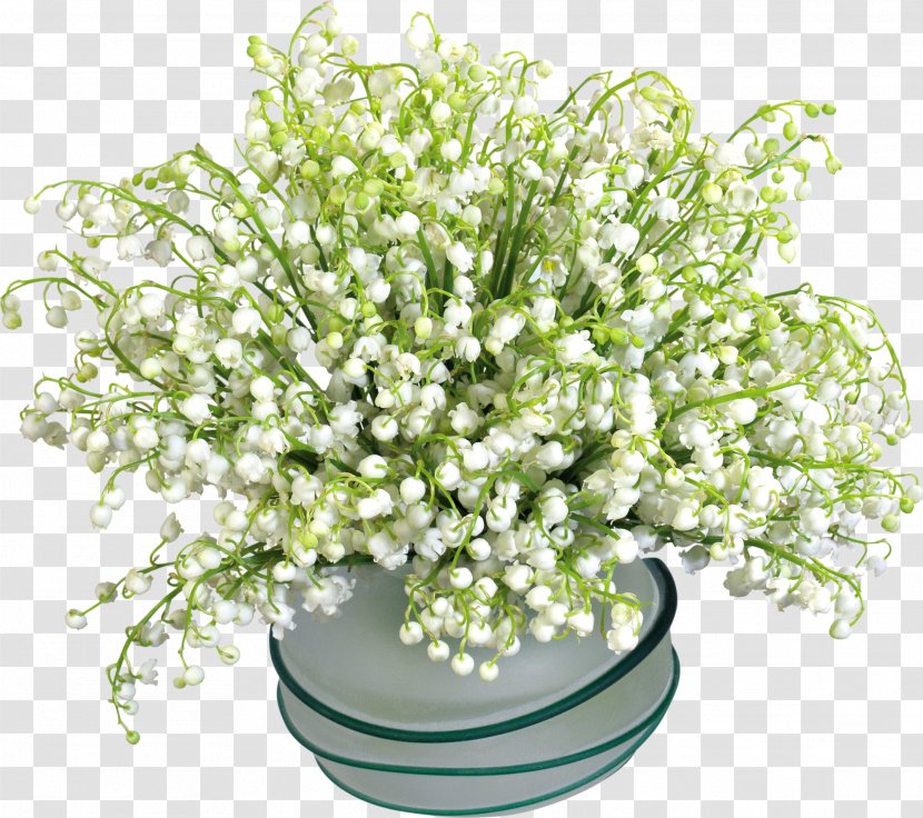 Flower Animation Lily Of The Valley - Arranging Transparent PNG