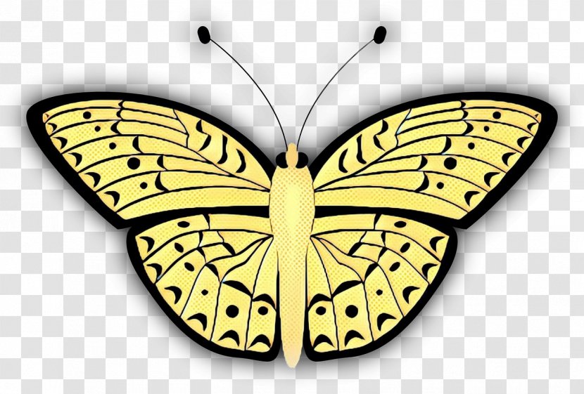 Retro Background - Symmetry - Emperor Moths Pieridae Transparent PNG
