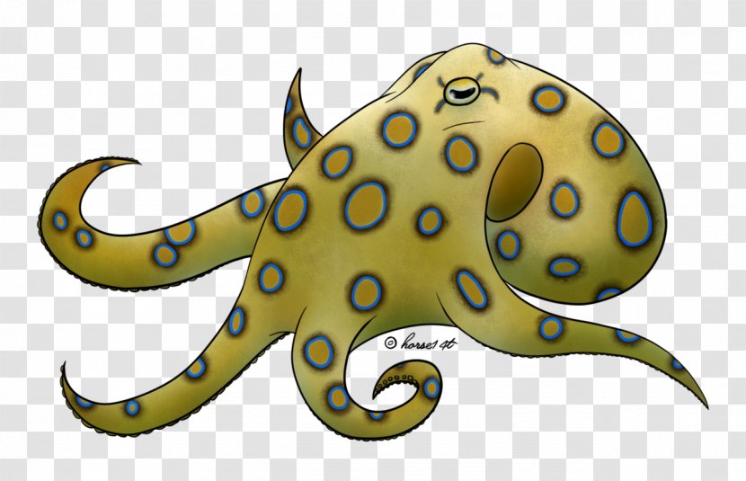 Greater Blue-ringed Octopus Drawing Giant Pacific - Invertebrate - Blueringed Transparent PNG