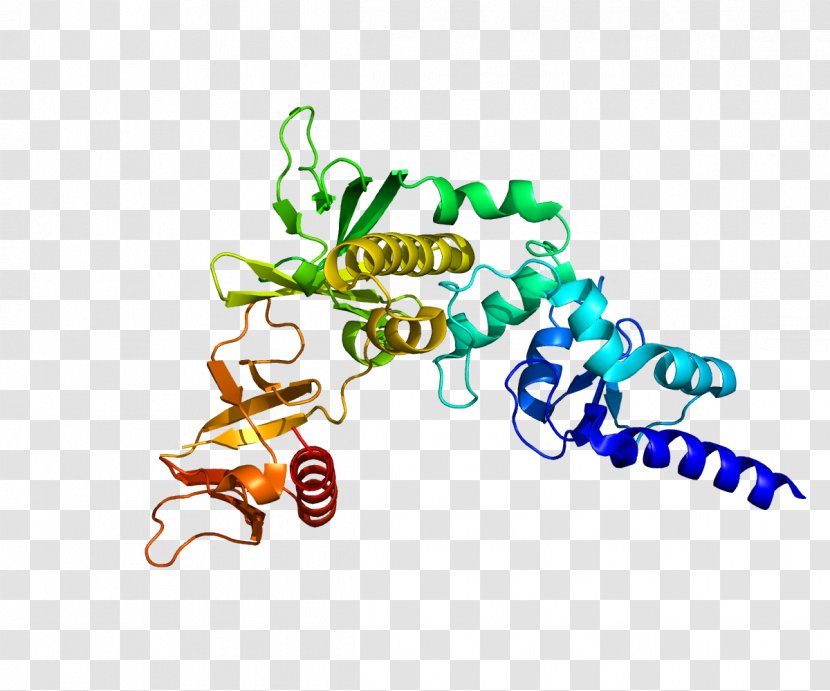 Centaurin, Alpha 1 Protein P110α Gene Nucleolin - Interaction - Gtpase Transparent PNG
