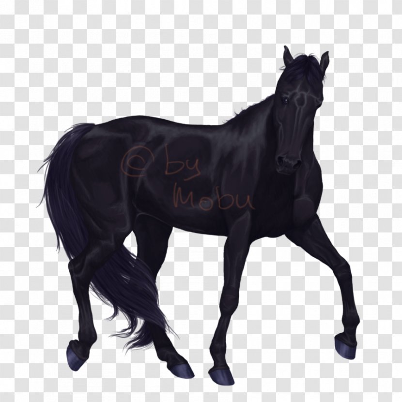 Stallion Mare Foal Mustang Colt - Bridle - Dark Horse Transparent PNG