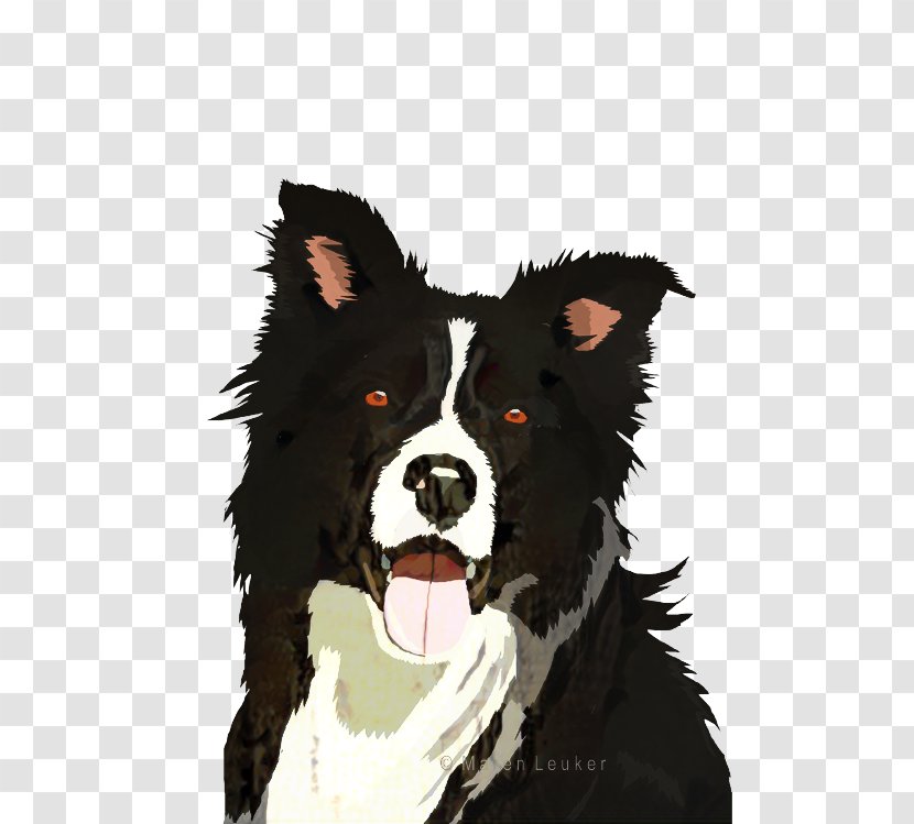 Border Collie - Working Dog - Drawing Australian Shepherd Transparent PNG