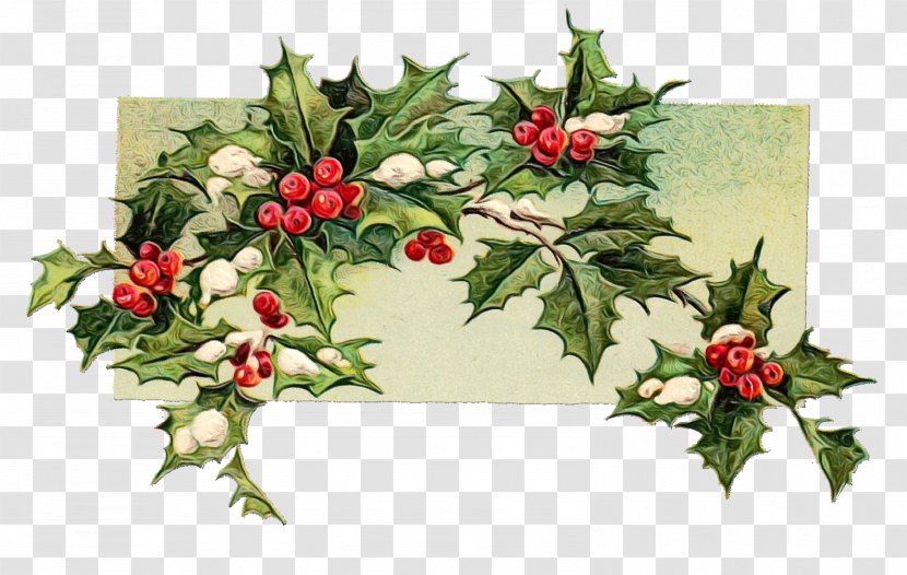 Common Holly Clip Art Christmas Day Image - Floristry - Floral Design Transparent PNG